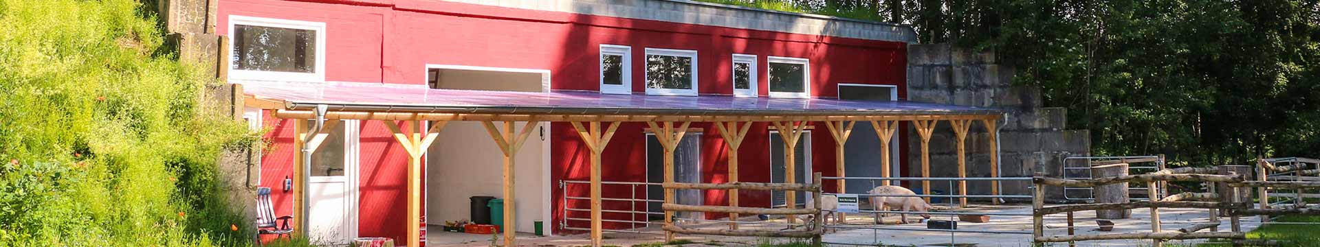 Das Schweineland im Land der Tiere, einem Lebenshof für ehemalige "Nutztiere" in Mecklenburg-Vorpommern, idyllisch gelegen im Biosphärenreser