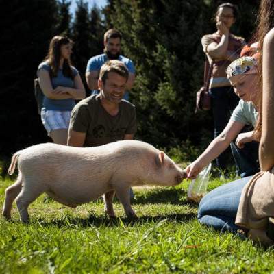 Öffnungszeit im Land der Tiere, dem veganen Lebenshof zwischen Hamburg, Lüneburg und Berlin