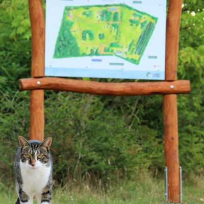 Klaus braucht natürlich keine Landkarte mehr. Die ist für menschliche Gäste im Land der Tiere.