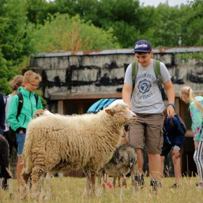 Schulklasse im Land der Tiere, dem veganen Lebenshof zwischen Hamburg, Lüneburg und Berlin