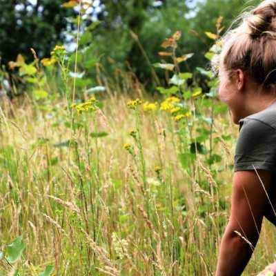 Arbeitstag im Land der Tiere, dem veganen Lebenshof in Mecklenburg-Vorpommern