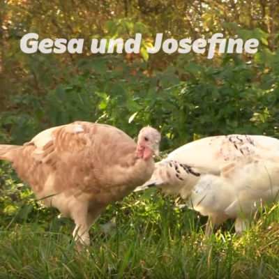 Gesa & Josefine sind eingezogen