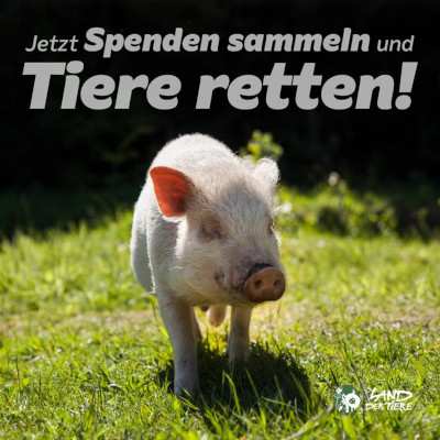 Starte Deine eigene Spendenaktion