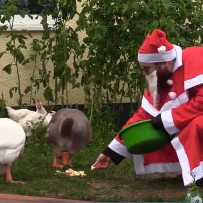 Weihnachtsmann im Land der Tiere