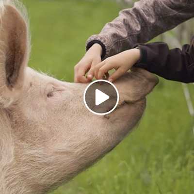 Wie friedlich und schön alles sein könnte ...