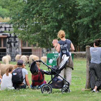 Sommerfest 2019 im Land der Tiere