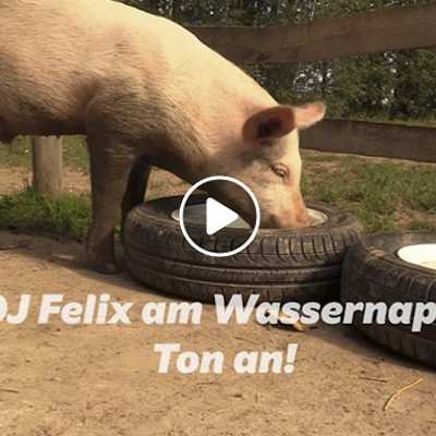 DJ Felix am Wassernapf