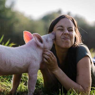 Bundesfreiwilligendienst im Land der Tiere