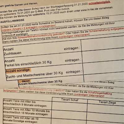 Kreativität bei der Meldepflicht