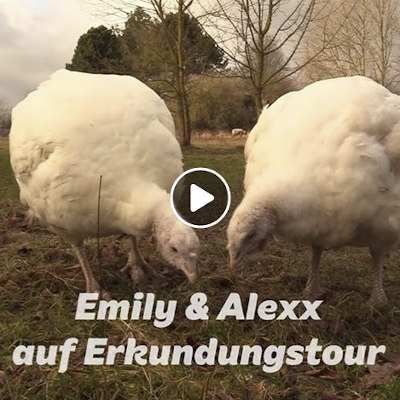 Puten Emily & Alexx auf Erkundungstour im Land der Tiere