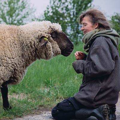 Schaf Max und Mensch Tanja im Land der Tiere