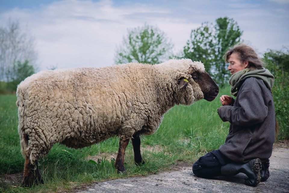 Schaf Max und Mensch Tanja im Land der Tiere