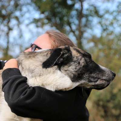 Bundesfreiwillige Lena und Hündin Muli im Land der Tiere, dem veganen Tierschutzzentrum zwischen Hamburg, Berlin und Lüneburg