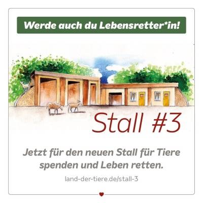 Stall #3: Jetzt für den neuen Stall für Tiere spenden und Leben retten.
