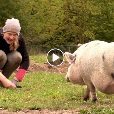 Minischwein Lili und eine fleißige Helferin beim Arbeitstag im Land der Tiere, dem veganen Tierschutzzentrum zwischen Hamburg, Berlin und Lüneburg