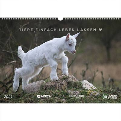 Der Land der Tiere Kalender 2021 mit 16 Seiten voller Infos zu Tieren und Tierrechten.