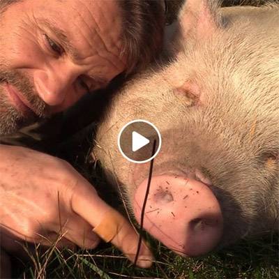 Minischwein Eddie und Mensch Jürgen im Land der Tiere, dem veganen Tierschutzzentrum zwischen Hamburg, Berlin und Lüneburg