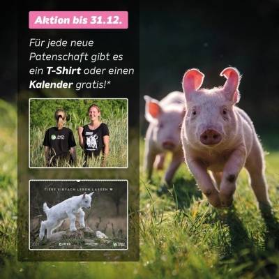 DANKESCHÖN-PATENSCHAFTS-AKTION bis zum 31.12.2020: LAND DER TIERE-KALENDER ODER T-SHIRT GRATIS!