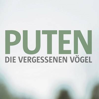 Puten: die vergessenen Vögel