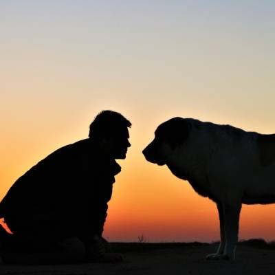 Mensch Jürgen und Hund Zeus im Land der Tiere, dem veganen Tierschutzzentrum zwischen Hamburg, Berlin und Lüneburg