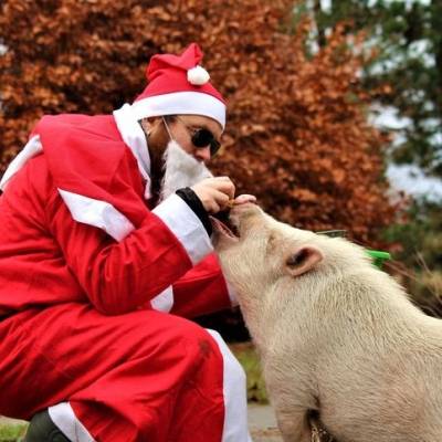 Der Nikolaus zu Besuch im Land der Tiere, dem veganen Tierschutzzentrum zwischen Hamburg, Berlin und Lüneburg