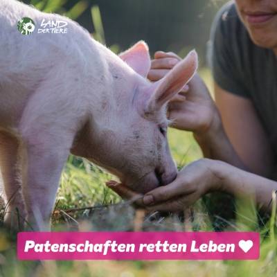 Patenschaften retten Leben: Mach mit!