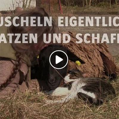 Mensch Tanja, Schaf Basta und Kater Klaus im Land der Tiere, dem veganen Tierschutzzentrum zwischen Hamburg, Berlin und Lüneburg