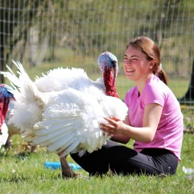 Die Bundesfreiwilligendienstlerinnen Tanja, Corinna & Lena beim Yoga mit den Putern Bibo & Claudius im Land der Tiere, dem veganen Tierschutzzentrum zwischen Hamburg, Berlin und Lüneburg