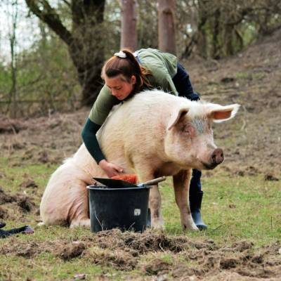 Schwein Lulu & Mensch Lena im Land der Tiere, dem veganen Tierschutzzentrum zwischen Hamburg, Berlin und Lüneburg