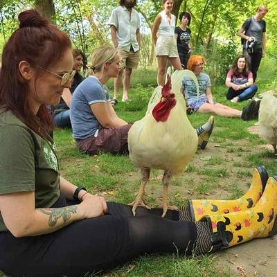 Herr Wiesengrün und Besucher*innen im Land der Tiere, dem veganen Tierschutzzentrum zwischen Hamburg, Berlin und Lüneburg