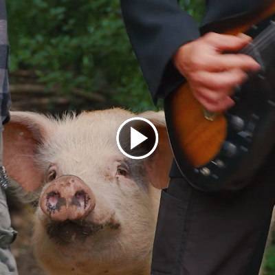Die Band der Tiere
