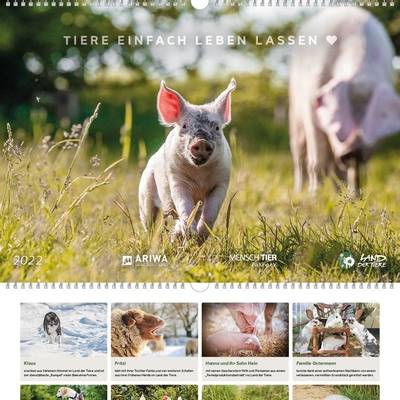 Land der Tiere Bildkalender für 2022