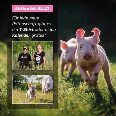 Dankeschön-Patenschafts-Aktion bis zum 31.12.2021: Erhalte einen Land der Tiere Wandkalender oder Rennschweine T-Shirt gratis!