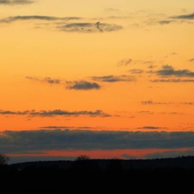 Die Region ums Land der Tiere, dem veganen Tierschutzzentrum zwischen Hamburg, Berlin und Lüneburg