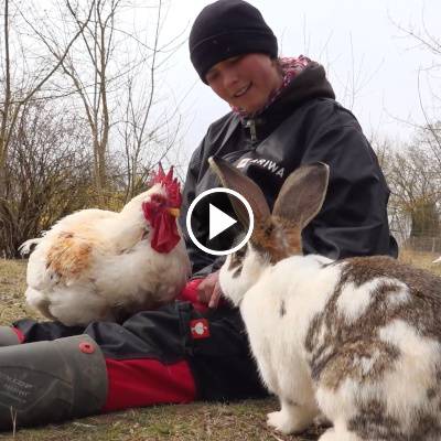 Mensch Lotta, Hahn Kasimir Wiesengrün und Kaninchen Frau Ostermann im Land der Tiere, dem veganen Tierschutzzentrum zwischen Hamburg, Berlin und Lüneburg