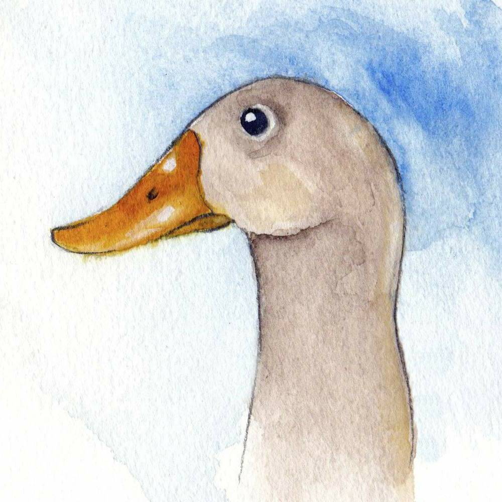 Haus #2: In Zukunft ein sicheres Zuhause für Enten und andere Tiere Haus #2: In Zukunft ein sicheres Zuhause für Enten und andere Tiere