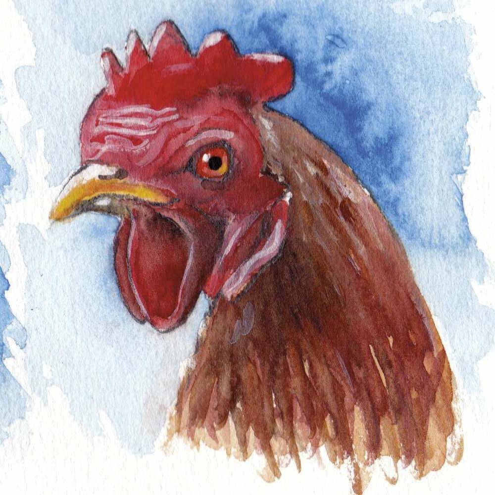 Haus #2: In Zukunft ein sicheres Zuhause für Hühner und andere Tiere Haus #2: In Zukunft ein sicheres Zuhause für Hühner und andere Tiere