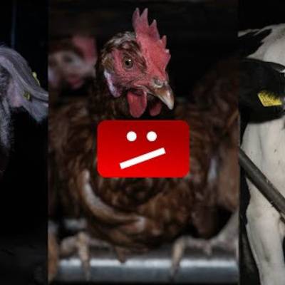 ARIWA: Keine YouTube-Schranke für Dokumentationen!