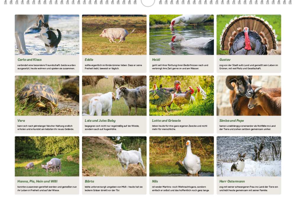 Den neuen Land der Tiere Bildkalender für 2023 ist ab sofort bestellbar!