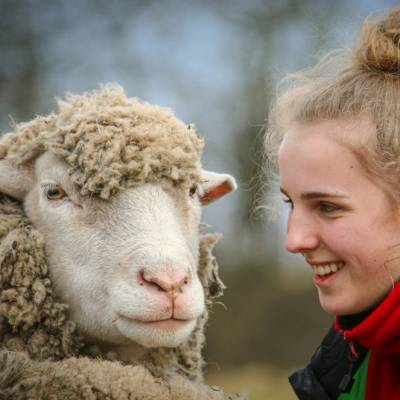 Ex-Laborschaf Sina und Mensch Elin im Land der Tiere, dem veganen Tierschutzzentrum zwischen Hamburg, Berlin und Lüneburg