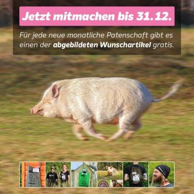 Patenschaften retten Leben.