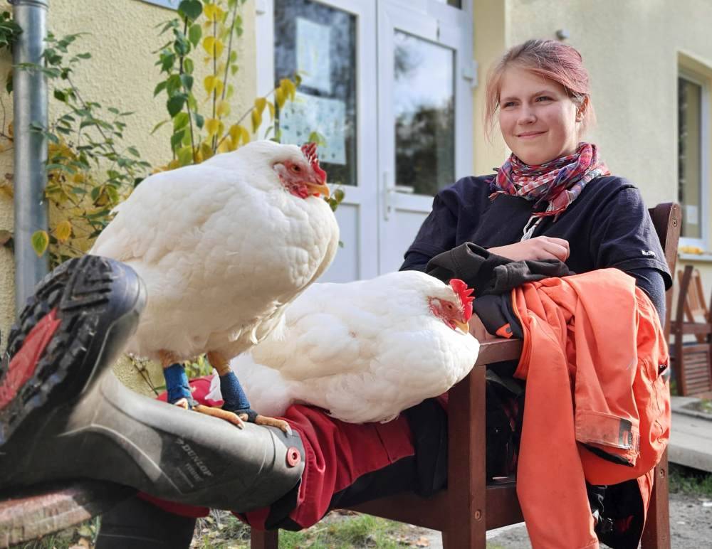 Die Hühner Greta & Giesela Wiesengrün mit Mensch Lotta im Land der Tiere, dem veganen Tierschutzzentrum zwischen Hamburg, Berlin und Lüneburg