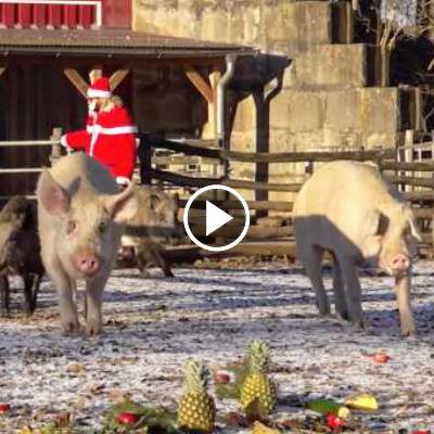 Weihnachten? Geht bei uns so!
