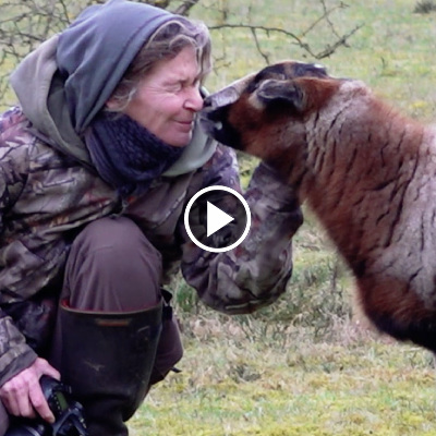 Schaf Edäd mit Mensch Tanja im Land der Tiere, dem veganen Tierschutzzentrum zwischen Hamburg, Berlin und Lüneburg