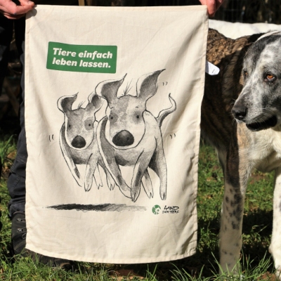 Das neue Land der Tiere Geschirrtuch wird von den Hündinnen Muli und Carla inspiziert im Land der Tiere im Land der Tiere, dem veganen Tierschutzzentrum zwischen Hamburg, Berlin und Lüneburg