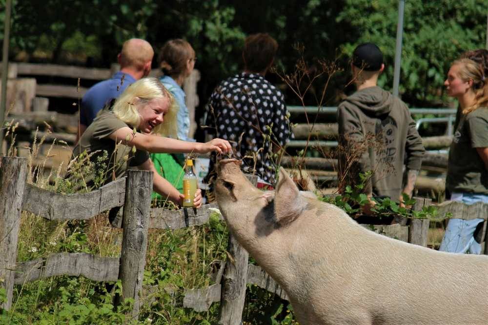 Impressionen vom Sommerfest 2022 im Land der Tiere im Land der Tiere, dem veganen Tierschutzzentrum zwischen Hamburg, Berlin und Lüneburg
