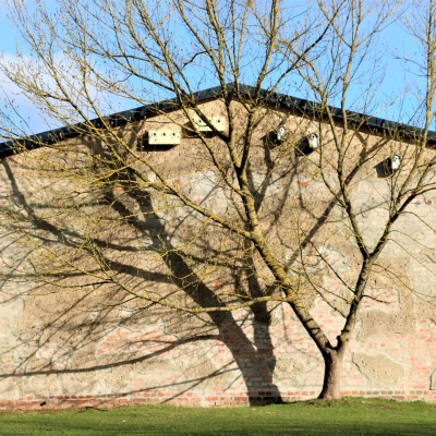 Die neuen Nistkästen am Veranstaltungshaus im Land der Tiere, dem veganen Tierschutzzentrum zwischen Hamburg, Berlin und Lüneburg