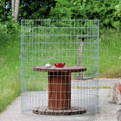 Eine Meise füttert ihre Jungen, die in einer alten großen Kabelrolle auf sie warten.