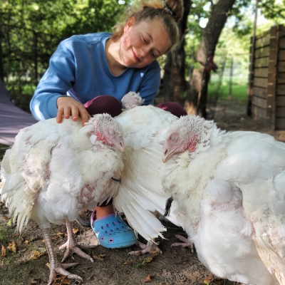Die Puten Amelie, Anschouska und Cleo mit der Bundesfreiwilligen Maleika im Land der Tiere