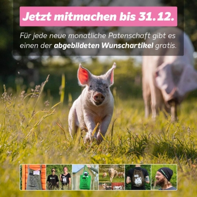 Dankeschön-Patenschaftsaktion vom 15.11.2023 bis 31.12.2023: Jetzt mitmachen!